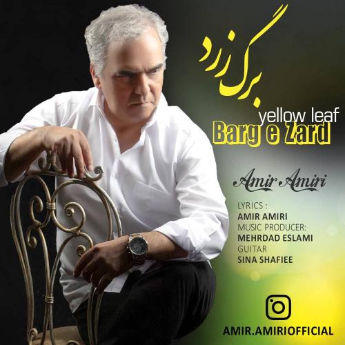 دانلود آهنگ برگ زرد